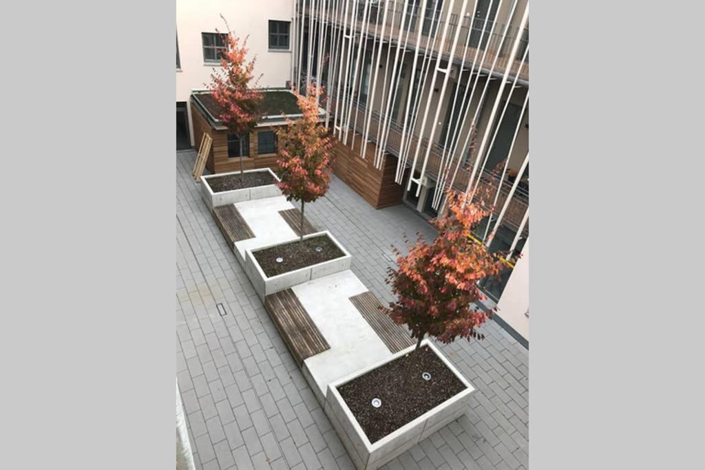 Apartment Sonnig, Modern, Zentral Mit Parkhaus Nebenan Checkin123 *